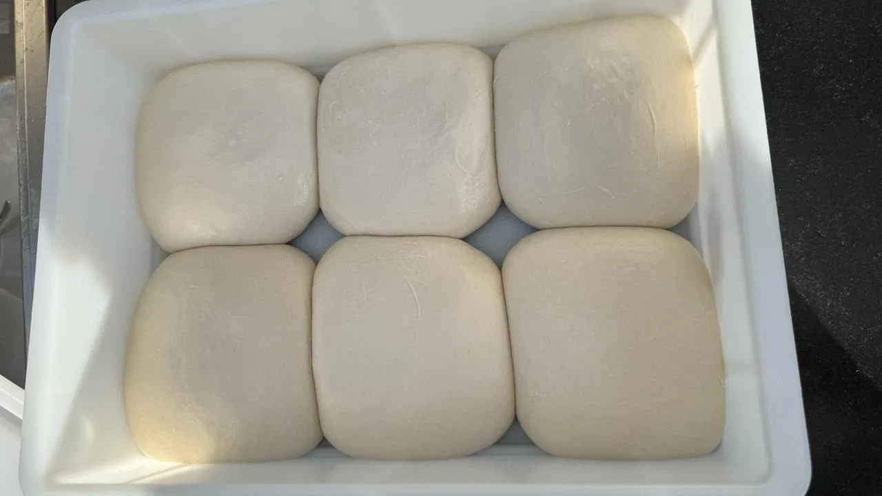 Sechs große Pizzateigballen in einer weißen Teigbox; einige berühren sich.